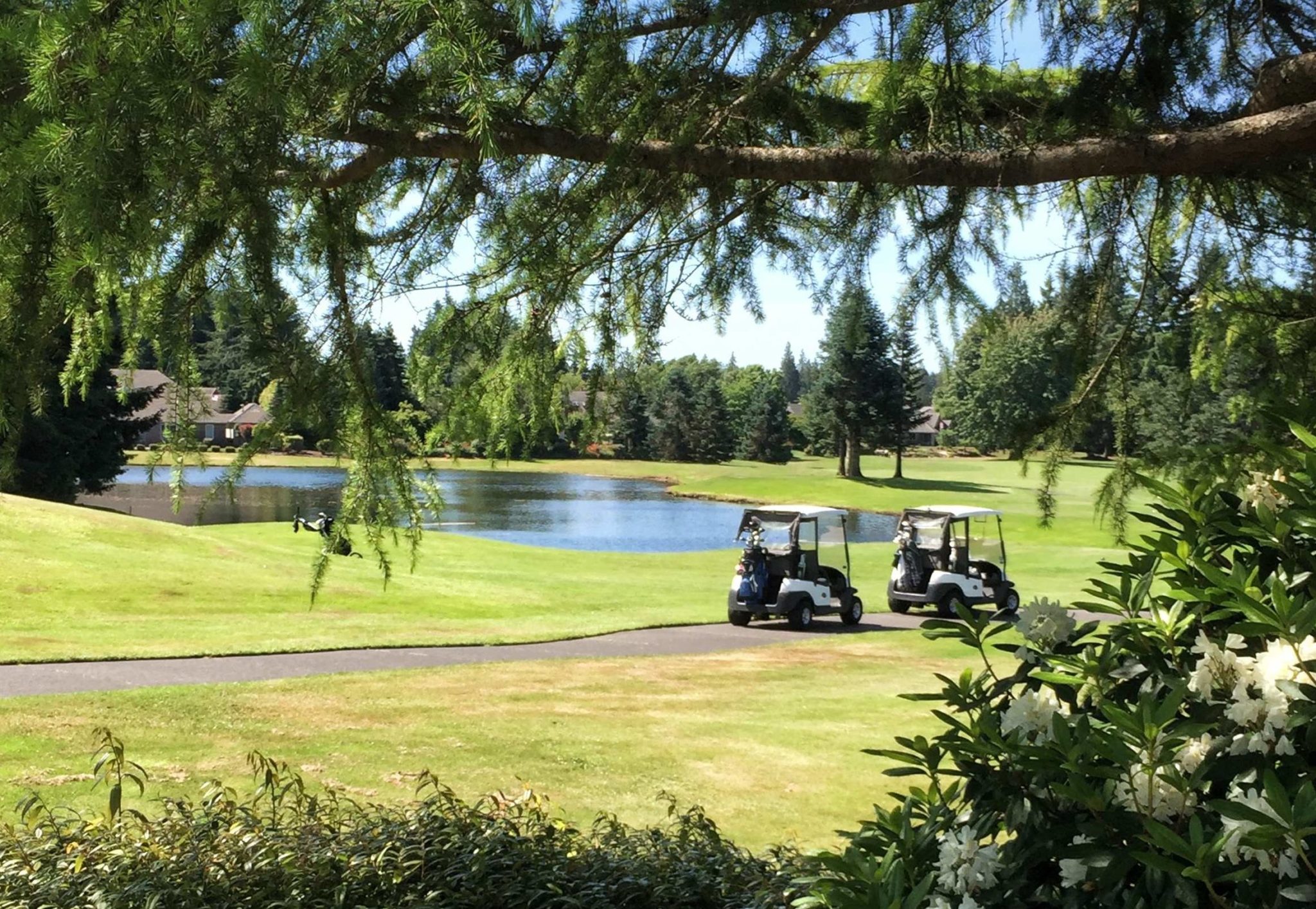 Indian Summer, Olympia, Washington Golf course information and reviews.