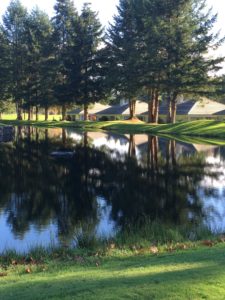 Indian Summer Neighborhood Views