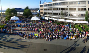 Music in the Park Port Plaza