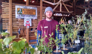 Olympia Farmers Market Alamere Herbs