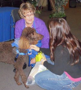 Providence PAAAT therapy animal Hershey
