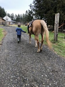 Rainy Day Ranch Therapeutic Riding Olympia child leading