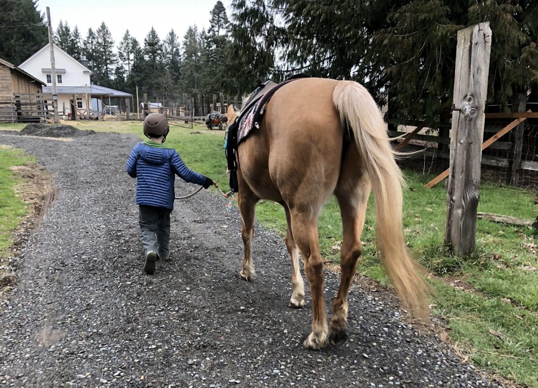 Rainy Day Ranch Therapeutic Riding Olympia child leading