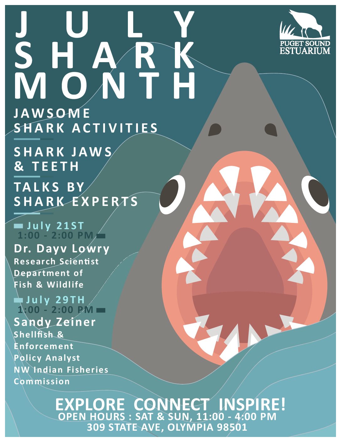 Shark Month ThurstonTalk