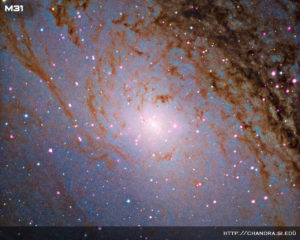 Star Gazing Andromeda Hurricane Ridge