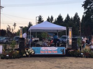 jazz in the park bandstand