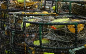 Crab pots