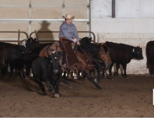 Josey Howard Rodeo Cutting