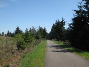 Chehalis Western Trail