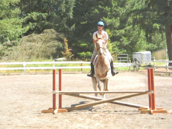 Thurston County Fair 4-H Levi Cantrell Horse Jumping