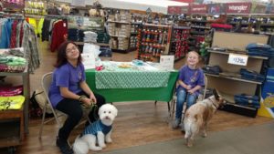 Thurston County Fair 4-H Piper and Nanook Promoting