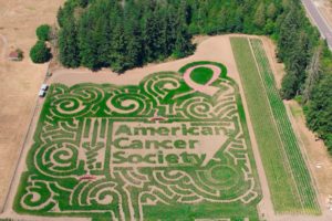 Thurston County Fall Activities 2018 Rutledge Corn Maze American Cancer Society