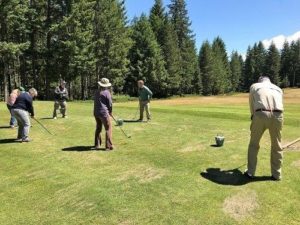 Alderbrook New Golfers Swing