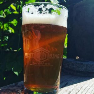 Bent Bine Brew Co