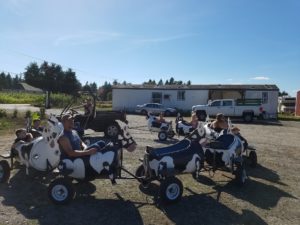 Rutledge Corn Maze fall activities cow train