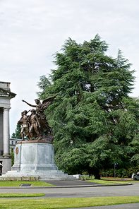 Thurston County Capitol Campus blue altas cedar