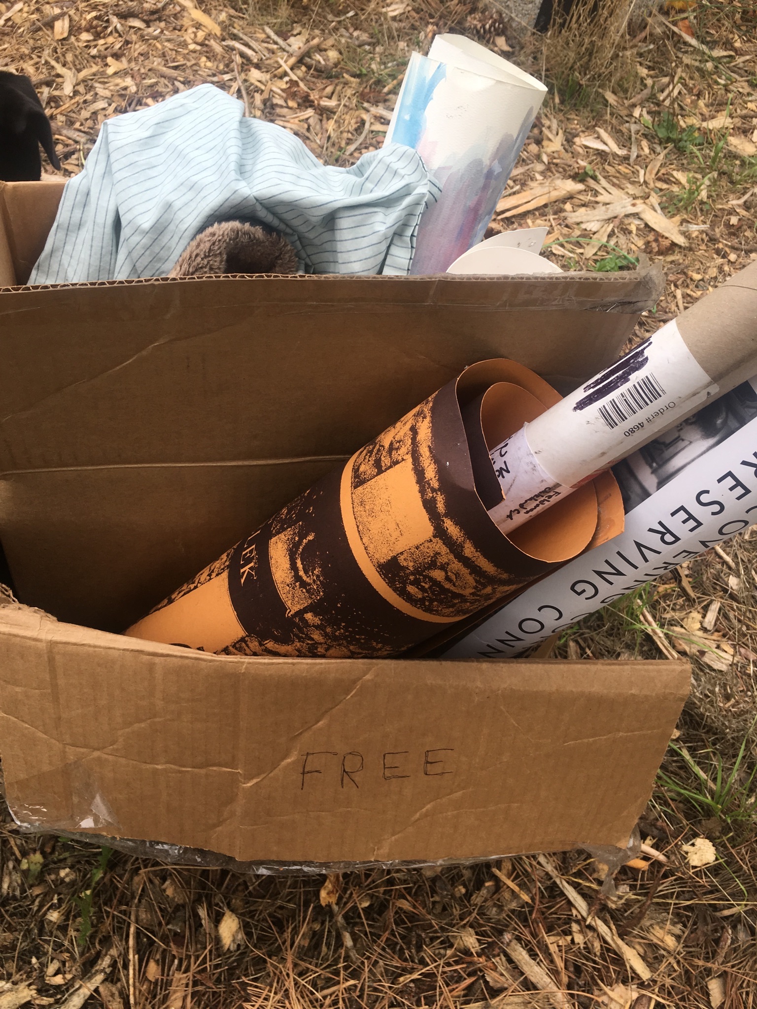 Craigslist Free Stuff Ri - w1ww9nf