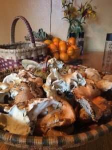 Foraged Mushrooms
