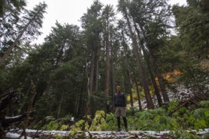 Fall hikes in Thurston County