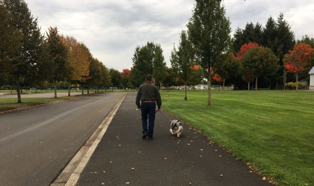 Dog Walks Thurston County Rainier Vista Community Park