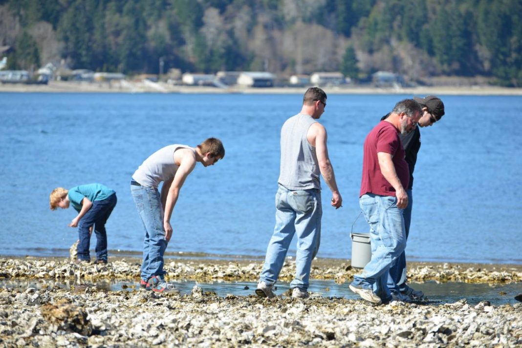 Fall hood canal