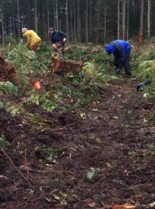 Friends of Capitol Forest Volunteers