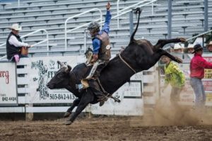 Grays Harbor clash of the cowboys cowboy on bull