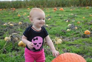 Hood Canal pumpkin patch