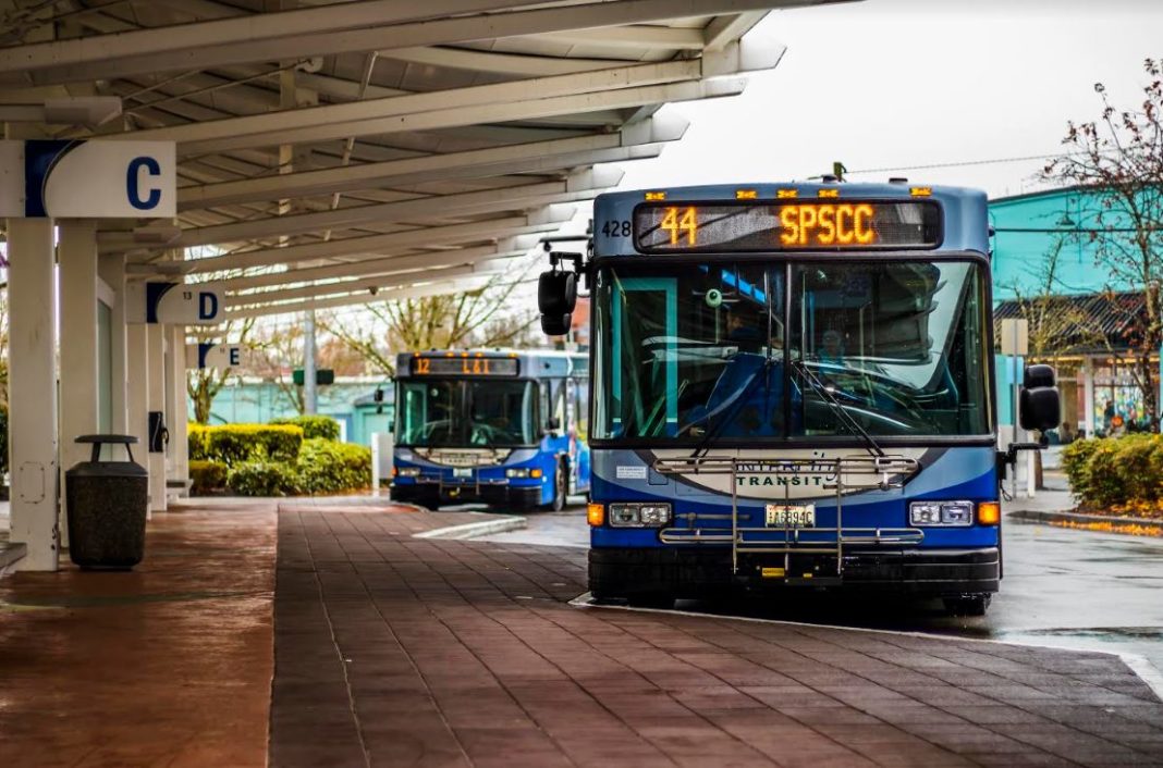 Intercity Transit Buses Parked at Station