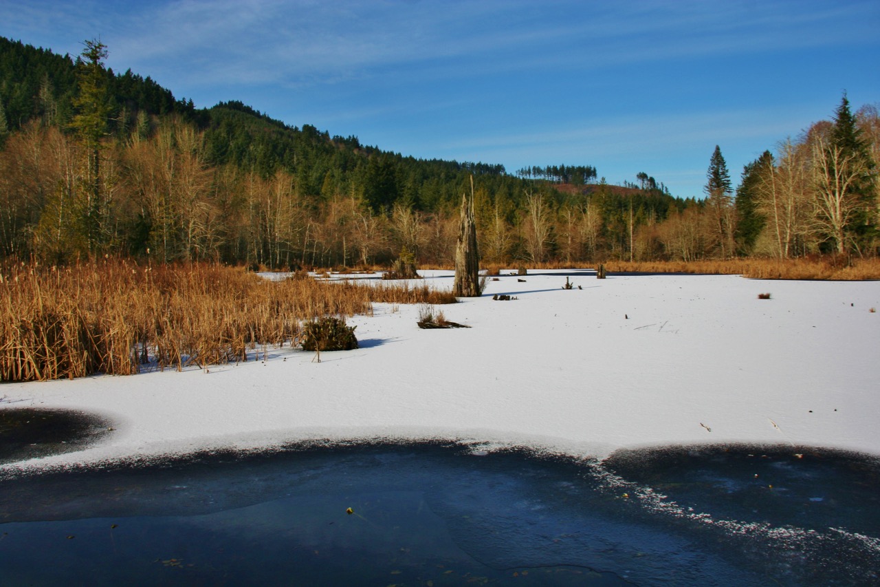 McLane Creek Ice and snow at McLane Ponds