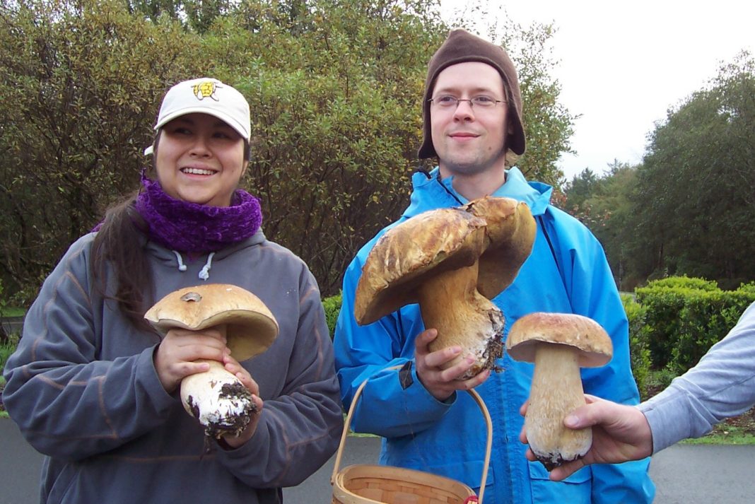 Anna and Dan w King Boletes