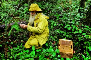 Mushroom hunting