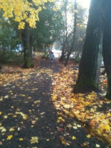 Joy Avenue Pathway Olympia Northeast Neighborhood Association