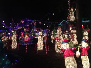 Cottage Treehouse Lights