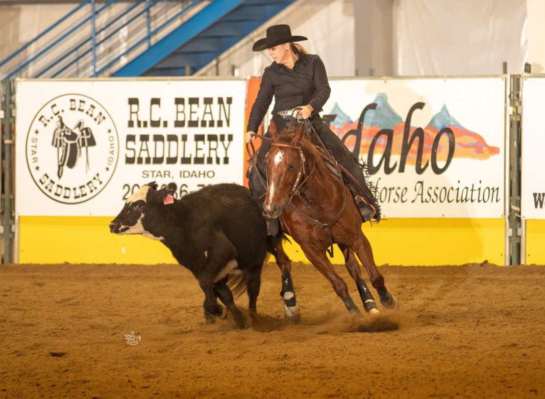 Reined Cow Horse