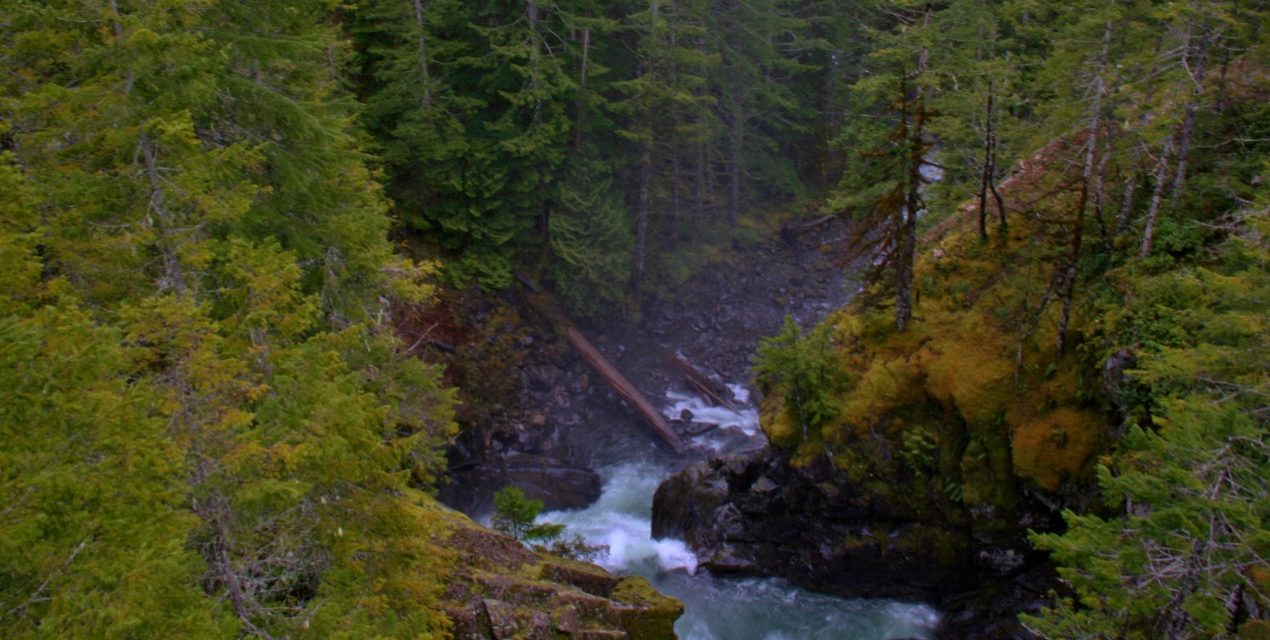 Hamma Hamma Falls