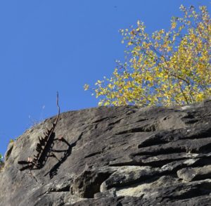 Hercules Quarry Artwork Tenino