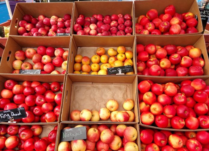 Olympia Farmers Market Apples