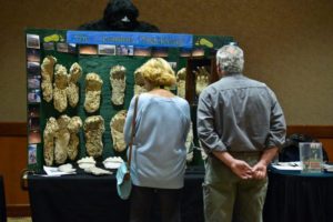 sasquatch summit people looking at casts