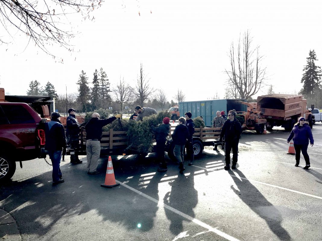 City of Lacey Christmas Tree Round Up Loading Trees