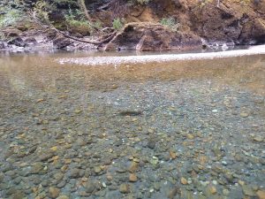 Enetai salmon hatchery