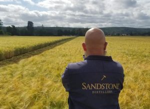 Sandstone Distillery John staring over field