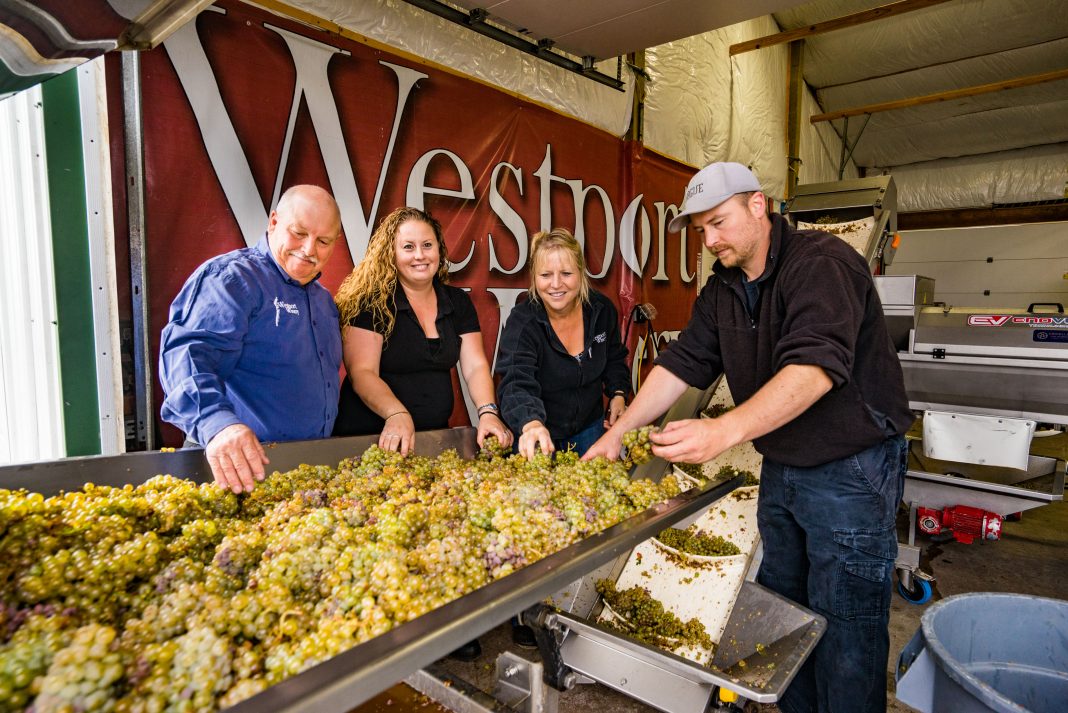 WEstport WInery family