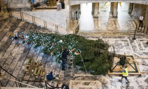 2017 Capitol tree set-up