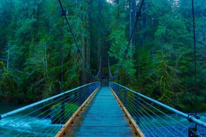 Staircase Bridge in ONP