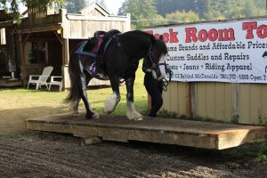 Tack Room Too Sponsorship