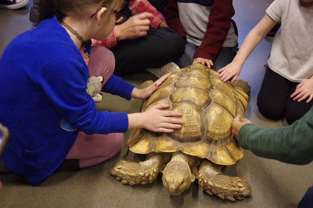 Animals at WET Science Center