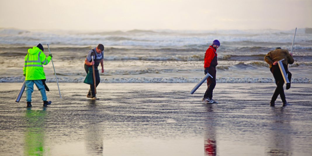 Quinault Beach Resort Casino clam diggers on beach 2