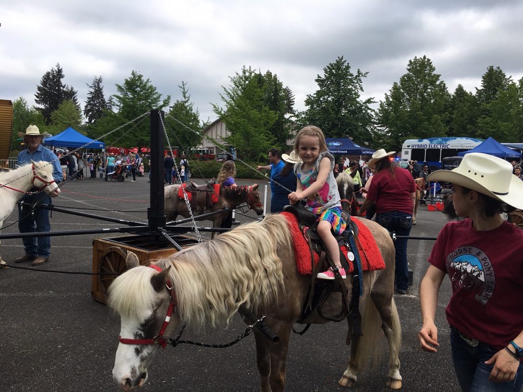 2019 Lacey Spring Fun Fair pony rides