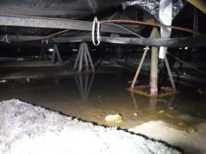 Boggs Perimeter Drainage Crawlspace